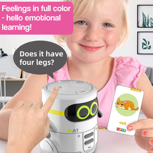 i-Learn & Play Interactive Robot