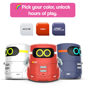 i-Learn & Play Interactive Robot
