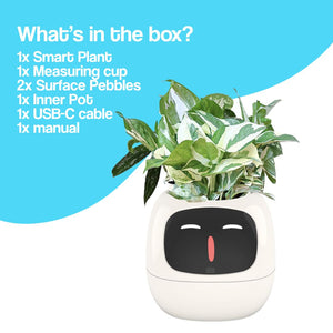 Meet Ivy - AI Powered GrowBuddy Smart Plant Care System