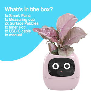 Meet Ivy - AI Powered GrowBuddy Smart Plant Care System